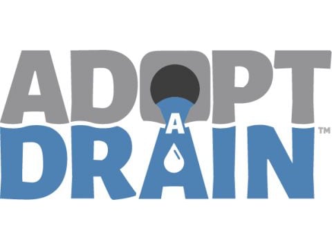 AdoptADrain: working with citizen science data to understand plastic pollution within stormwater