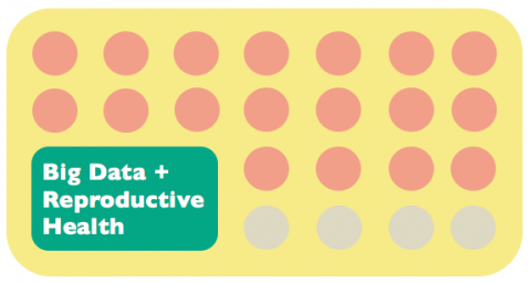 Big Data for Reproductive Health