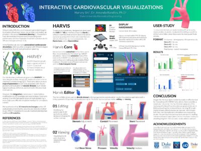 interactive cardiovascular visualizations