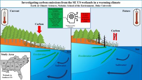 Investigating wetland carbon emissions in the SE US under climate change