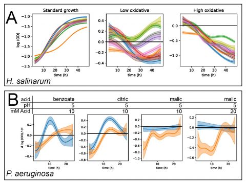 Modeling microbial growth to understand pathogenesis and biological resilience and resilience