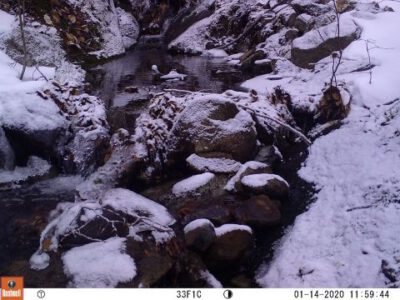 River ice timing and duration in a warming climate: Field camera image classification