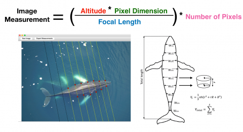Neural Networks and Photogrammetry for Analysis of Marine Remote Sensing Data