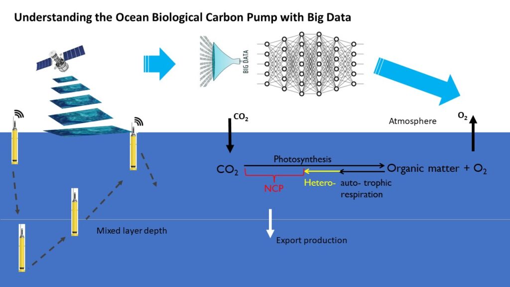 Understanding The Ocean Biological Carbon Pump With Big Data - Duke ...