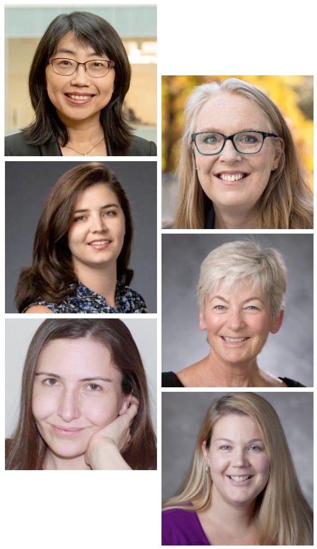 headshots of six professors